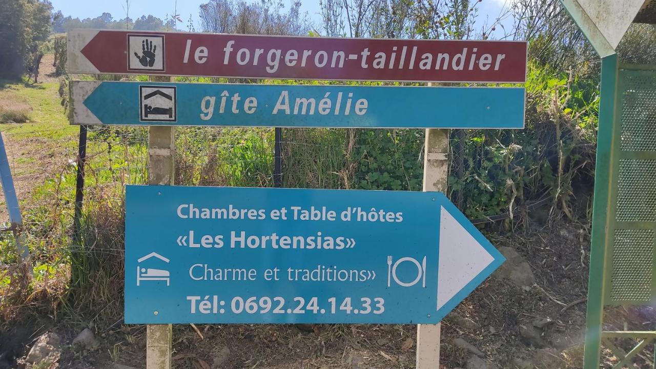 Chambres Et Table D'Hote Les Hortensias La Plaine des Cafres ภายนอก รูปภาพ